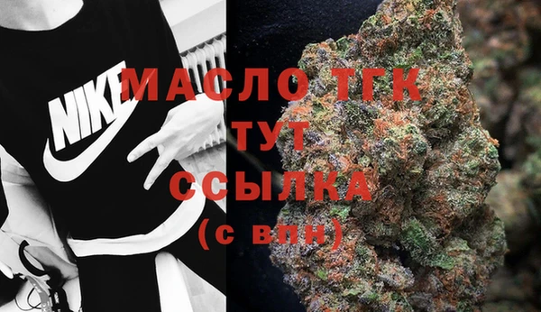 прущие грибы Сясьстрой