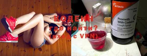 прущий лед Богданович