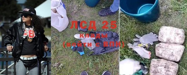 ГАЛЛЮЦИНОГЕННЫЕ ГРИБЫ Богородицк