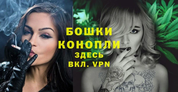 гидра Бородино