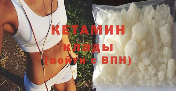прущие грибы Сясьстрой