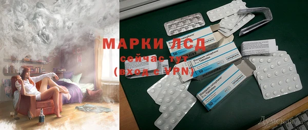прущие грибы Сясьстрой