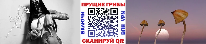 хочу наркоту  Ростов-на-Дону  Галлюциногенные грибы мицелий 